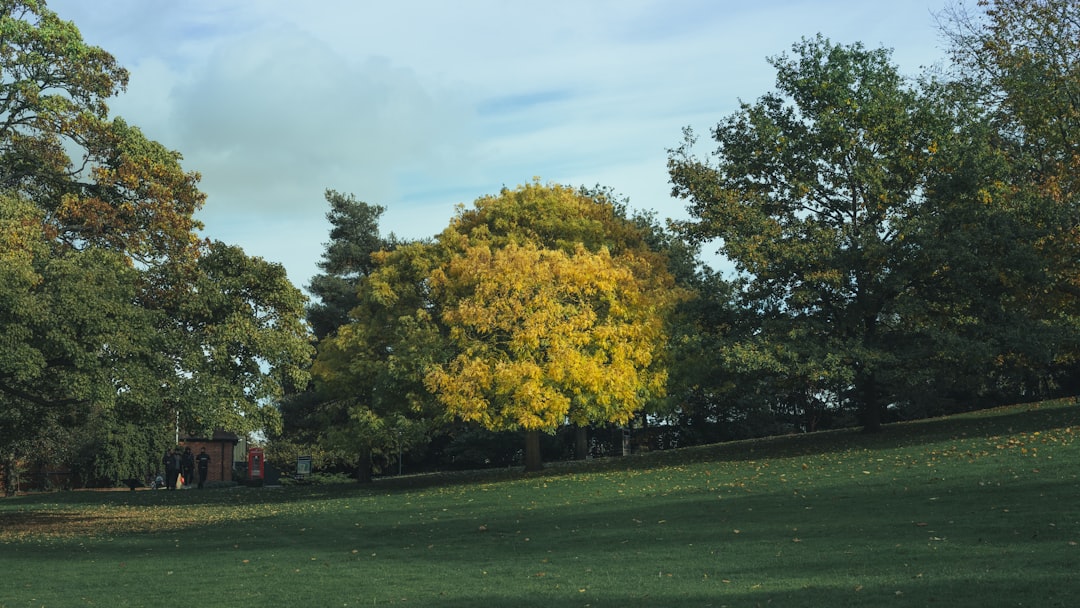 Colchester, Essex: A grassy field with trees in the background